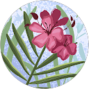 Pascha Randle profile picture